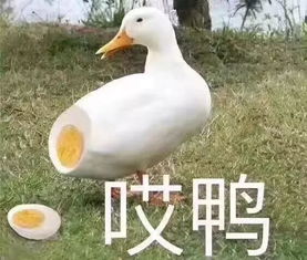本周天气好刺激33还有暴雨八级大风入夏还要
