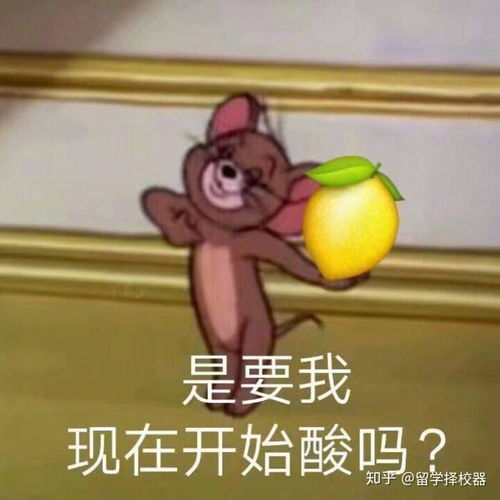给你一份令人心动的offer