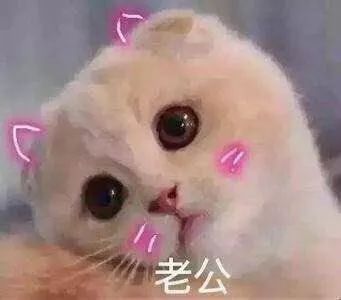 一些地下猫色场所和表情包