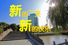 鹰大版中老年蜜汁风味表情包斗图必备,亲测有毒