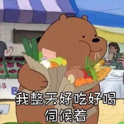 天冷了,更要好好挣钱,因为