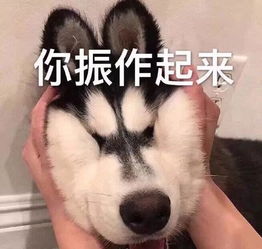 直逼40下周高温连击,火炉正式开始