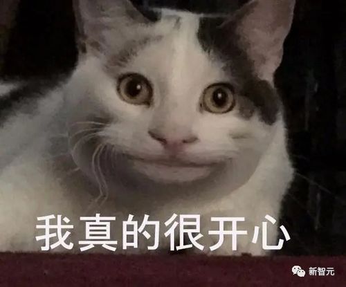 一唤起钉钉魔法麻瓜打工人零门槛玩转ai,老板笑疯了