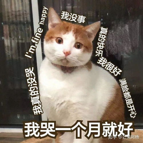 我好累表情包初润