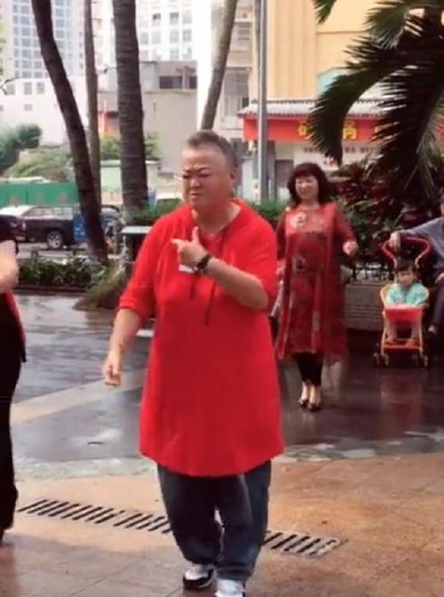 广场舞大妈登快本跳舞,经典舞姿太魔性,众星纷纷模仿成表情包