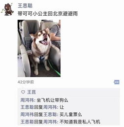 日本东京都议会改选,东京电视台竟这样介绍竞选人...