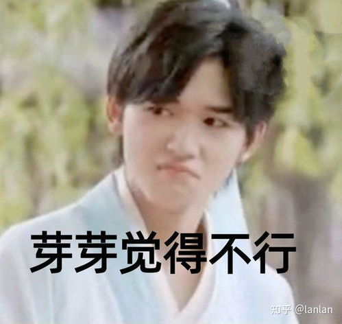 可以分享给我一些宋亚轩表情包吗