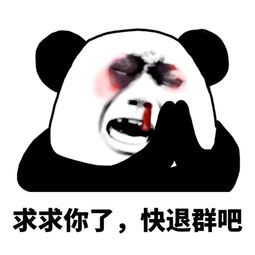 最新微信聊天搞笑表情包4
