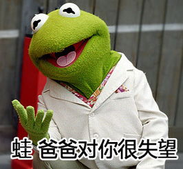 恐龙外套滑稽表情包大哥
