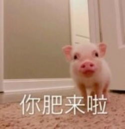 从现在开始表情包可爱