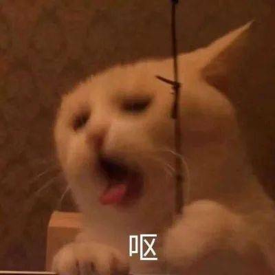 情侣头像丨哈哈有点意思
