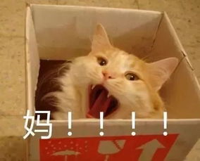 南京六家客运站周六开卖国庆汽车票,这些信息对你或许有用