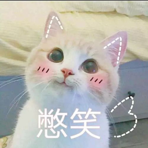 我的宿舍群才没有这样的名字