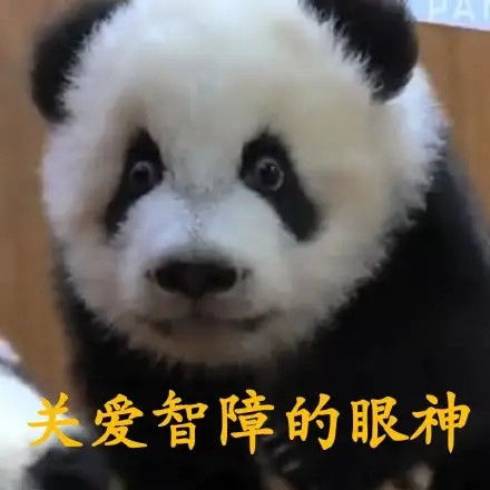 可爱熊猫表情包第一弹