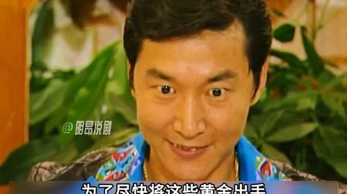 张世豪金铺搞钱计划天衣无缝,没想到竟被自己兄弟阿佑出卖