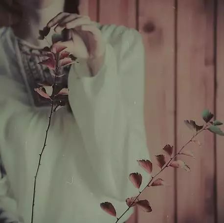 缘分,可遇不可求