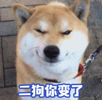 狗狗动态表情包来了,来收图,二狗都几年了你还没有骗到女朋友