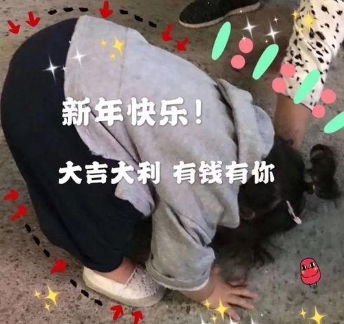 开门大红包,2020发发发