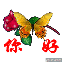 2021真人你好表情包,你好表情动态图片,美女你好打招呼问候