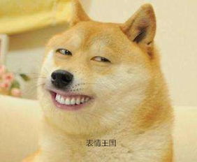 这个表情包那个软件有就是格格的这个要一模一样的必有重谢