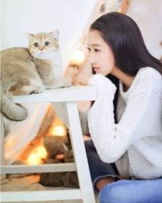小猫咪表情包给老子爬