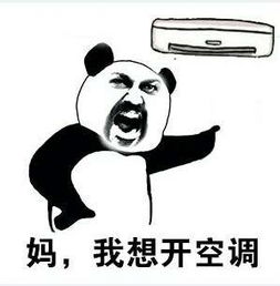 大暑至,一直吹空调一直爽小心空调能续命也能要命