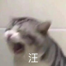 北大杨洋和南大胡歌暗生情愫,配对成功这个cp我嗑了