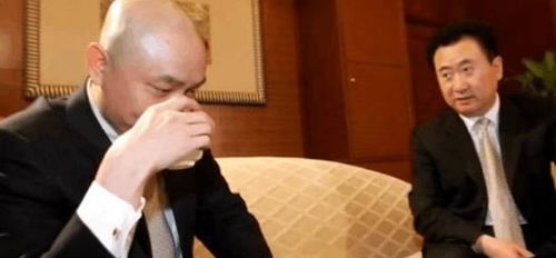 一代枭雄黄光裕,网友在中国不允许有这么牛逼的人存在