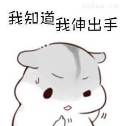 仓鼠绊倒喜欢的人表情包我知道我伸出手,你肯定不会跟我走