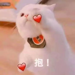 为kcl的你们量身定制的公寓