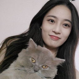 猫猫头像女生简单气质