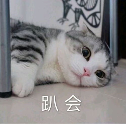 现在人的聊天都在聊什么
