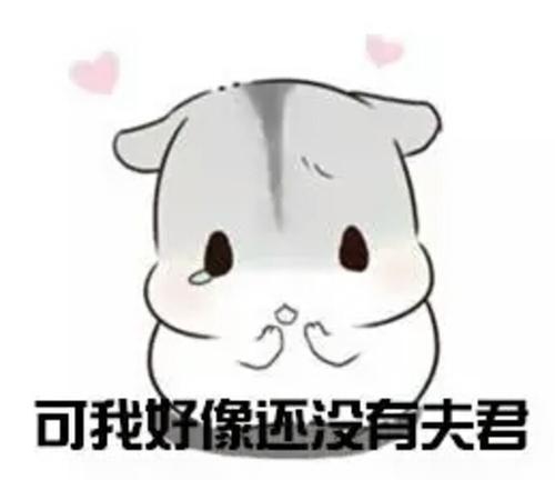 仓鼠表情包老婆说的都对