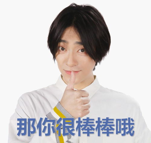 音乐王子郑云龙最新表情包上线