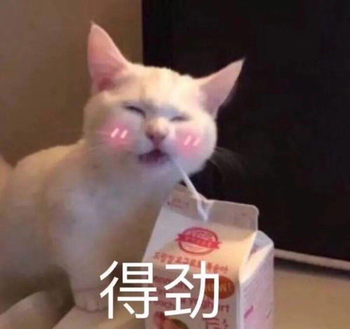 抖音上超火的开空调头像,微信也能一键设置
