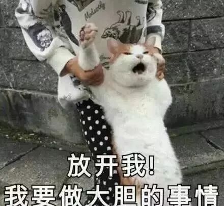 平凉斗图表情包龇牙