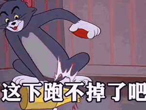 中秋猫和老鼠热门动态表情包
