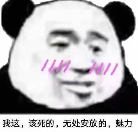 谢拉露妮丝表情包表情