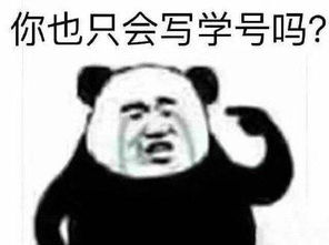 关于学习的表情包学业繁忙,先挂了