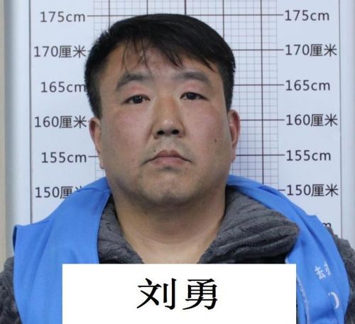 安徽警方公开征集彭于龙马大中等13人违法犯罪线索