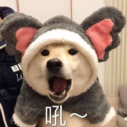 国奖得主的成功秘笈