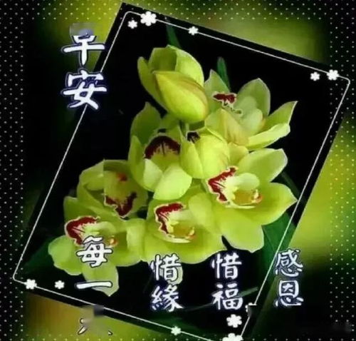 品味苦涩,方懂得甘甜的滋味经受了苦难,才知道坚强的美丽