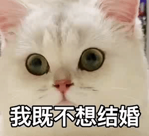 快手上很火的表情包微信