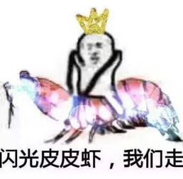 皮皮虾我们走开启记仇模式17.2.7