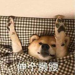 历史上的今天第一个微笑表情诞生,你最喜欢用哪个表情包