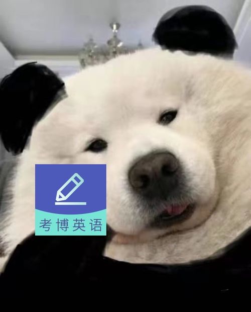 考博对英语的要求是什么如何高效备考