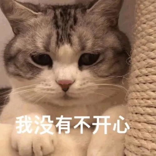 笑话表情包有个情商低的老公和情商低的女儿是什么滋味呢