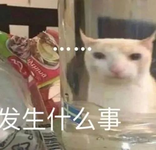 表情包杂七杂八斗图精选系列含动图20210904