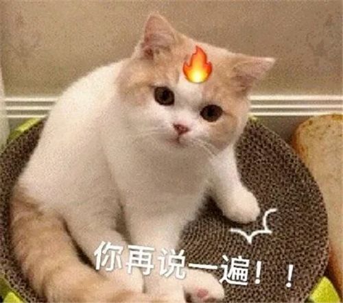 搞笑表情包多大点事