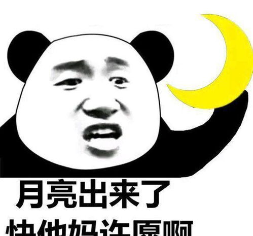 搞笑段子你怎么可以这样说儿子他根本活不到五六十岁好吧